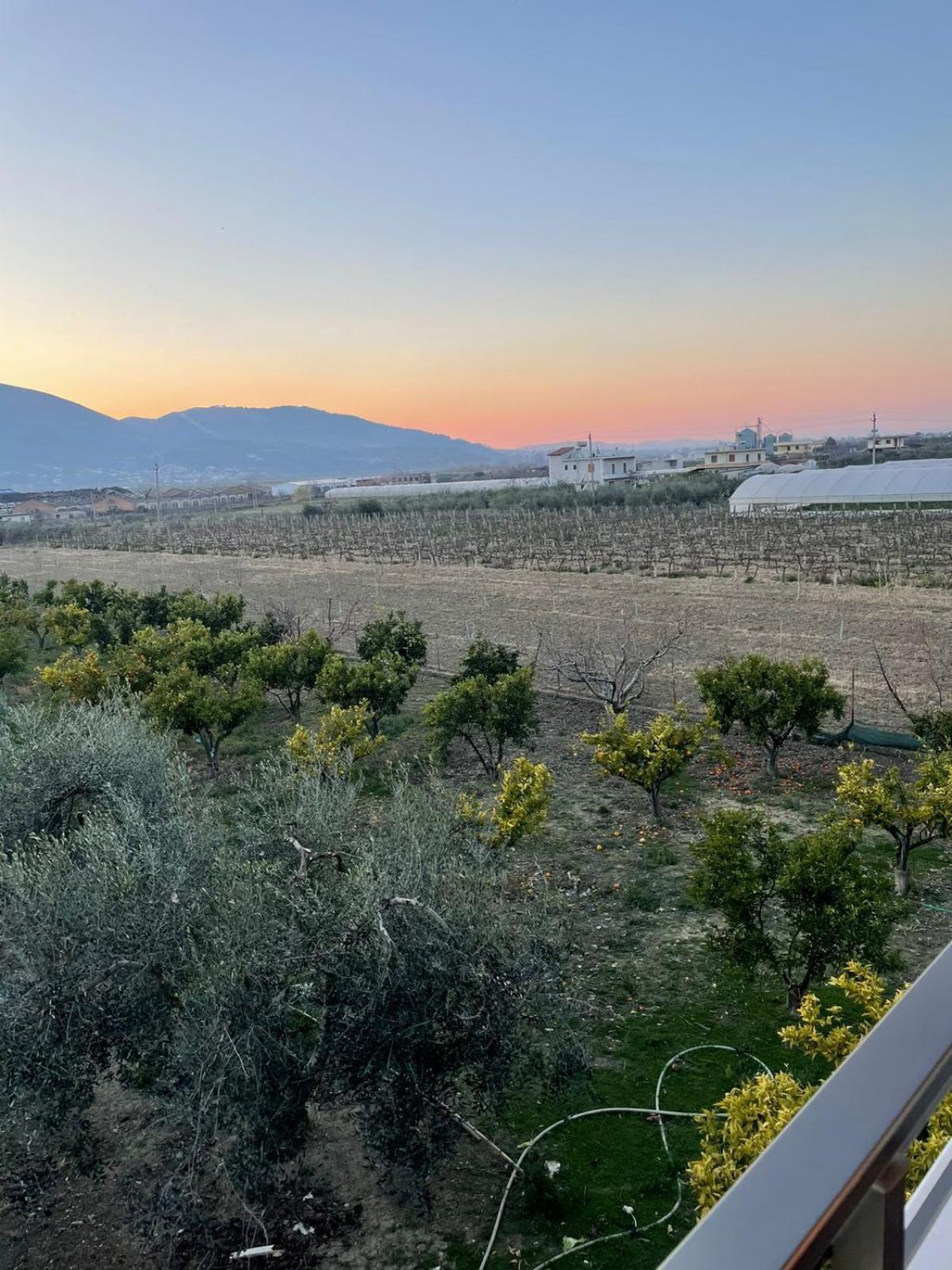 Harmony Villa Берат Экстерьер фото